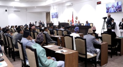  प्रतिनिधिसभाको अर्को बैठक चैत २२ गते 